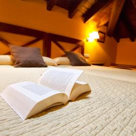 Hotel El Quintanal，位于Bode的酒店