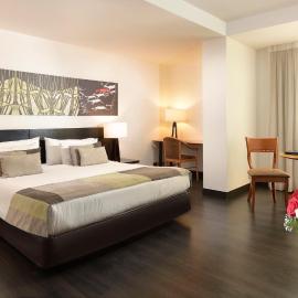 Hotel Eurotel Providencia，位于圣地亚哥的酒店