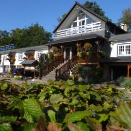 Hotel Restaurant Les Pins logis，位于阿格诺的酒店