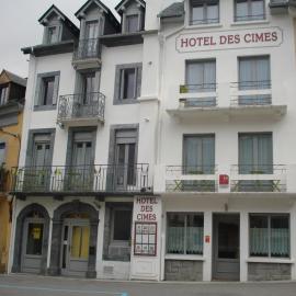 Hôtel des Cimes，位于吕兹-圣索沃尔的酒店