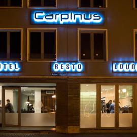 Hotel Carpinus，位于鲁汶的酒店