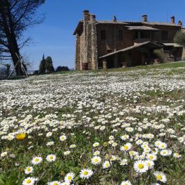 Agriturismo Le Roghete，位于阿夸彭登泰的酒店
