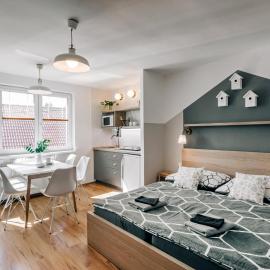 Penzion V Roklich & Apartments V Roklich，位于日恰尼的酒店