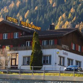 Hotel Seeblick，位于Sufers的酒店