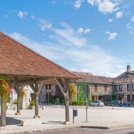 Logis Le Tadorne，位于Piney的酒店