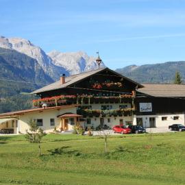 Landgasthof Hotel Zehenthof，位于普法尔韦尔芬的酒店