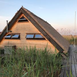 Seehütte Pfahlbau-Neusiedlersee-Robinsonhütte，位于拉斯特的酒店