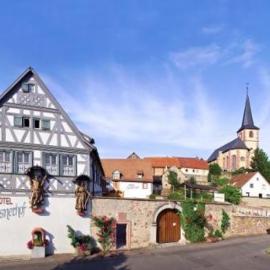 Hotel Meisnerhof,位于厄拉布恩的酒店