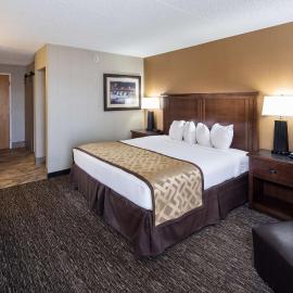 Best Western Ramkota Hotel，位于拉皮德城的酒店