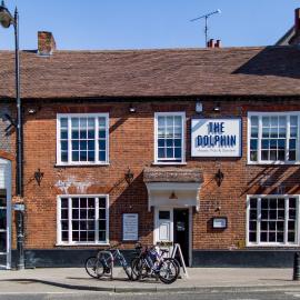 The Dolphin