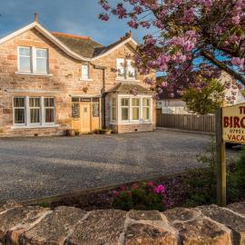 The Birches，位于丁沃尔的酒店