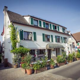 Hotel Lauer，位于Schoneck的酒店