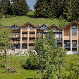 Black Forest Lodge，位于费尔德伯格的酒店