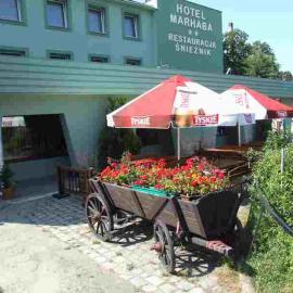 Hotel Śnieżnik，位于克沃兹科的酒店