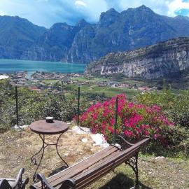 Garden Belvedere B&B，位于托尔博莱的酒店