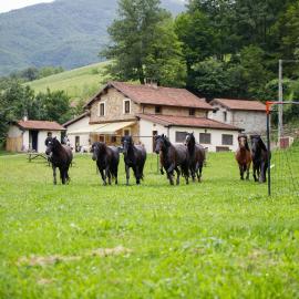 Agriturismo Carovane，位于Compiano的酒店
