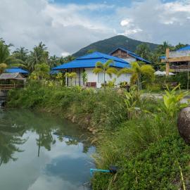 Wonderland Healing Center