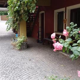 Gasthof Polly，位于Haunoldstein的酒店