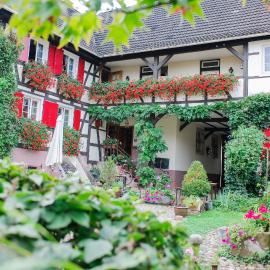 Hotel de Charme 'zum Schiff'，位于伊费茨海姆的酒店