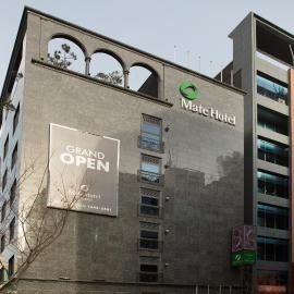 Hotel Mate Bundang，位于城南市的酒店