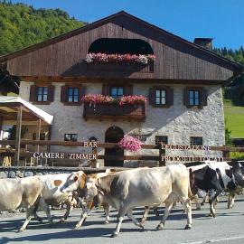 Albergo Pa' Krhaizar，位于绍里斯的酒店