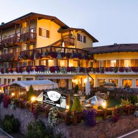 Hotel Alle Alpi，位于莫埃纳的酒店