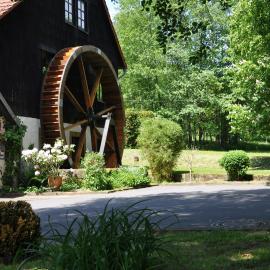 Landgasthof Geiersmühle，位于Vielbrunn的酒店