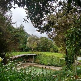 Termas El Pantanal，位于帕帕亚克塔的酒店