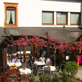 Weinhaus Burg-Schneider，位于赖尔的酒店