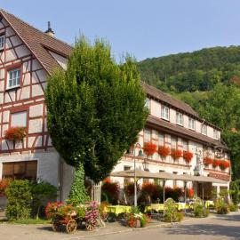 Gasthof Restaurant Hirsch,位于巴特迪岑巴赫的酒店