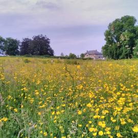 Castletownmoor Clinic & Permaculture Farm，位于凯尔斯的酒店