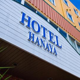 Hotel Hanaya，位于田边市的酒店
