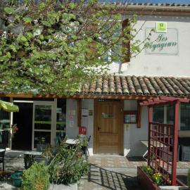 Logis Hôtels - Hôtel et Restaurant Les Voyageurs，位于图尔农达日奈的酒店