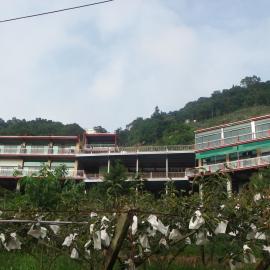 King Villa