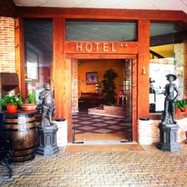 Hotel Venta El Molino，位于阿尔卡扎德三涓的酒店