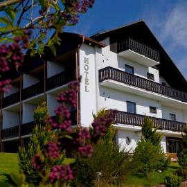 Hotel Seeschlößchen，位于瓦尔德克的酒店