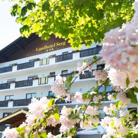 Landhotel Seeg，位于塞格的酒店