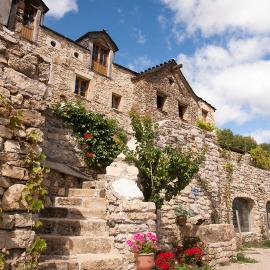 La ferme des Cévennes，位于弗洛拉克的酒店