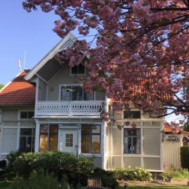 Villa Frideborg，位于Henån的酒店