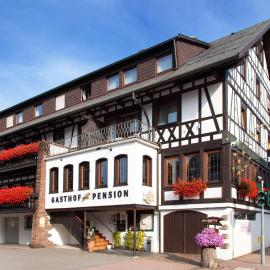 Landgasthof Hotel Hirsch，位于洛斯堡的酒店