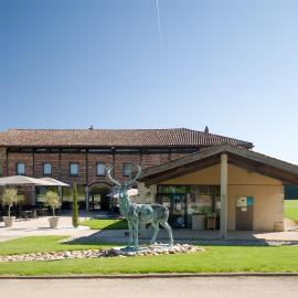 La Sorelle Hôtel Golf et Restaurant，位于Villette-sur-ain的酒店