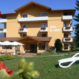Hotel & Appartamenti Al Larice，位于罗恩佐的酒店
