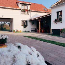 Casa Badea，位于Rîu Alb的酒店