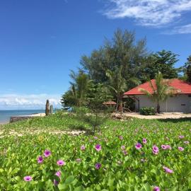 Red Coral Cottage，位于丹绒鲁的酒店