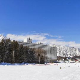 Hotel Angel Grandia Echigo Nakazato，位于汤泽町的酒店