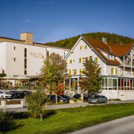 Landhotel Wilder Mann，位于Eggingen的酒店