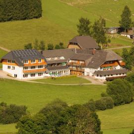 Garni Hotel Kaltenbach，位于特里贝格的酒店