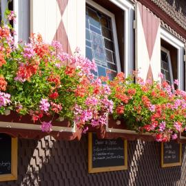 Landgasthof Zum Stern Wasserkuppe Rhön，位于波彭豪森的酒店