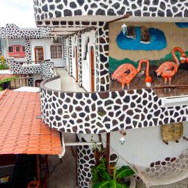 Hotel Coloma Galapagos