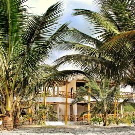 Seaside Garden Ecolodge Mompiche，位于莫姆皮切的酒店